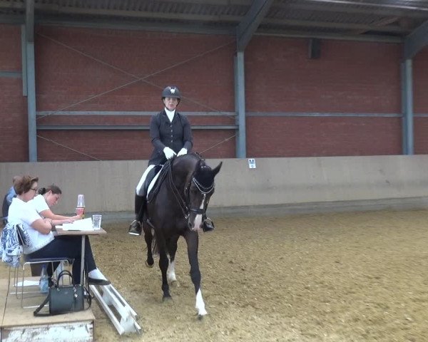 Reitturnier Neuss-Allerheiligen 2019