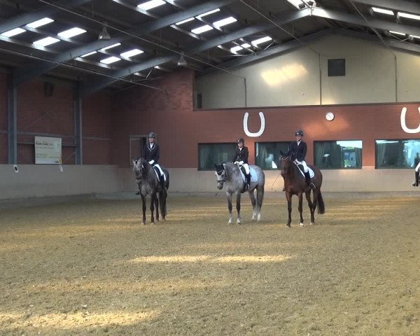 Reitturnier Neuss-Allerheiligen 2019