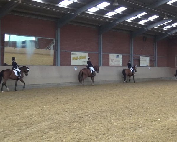 Reitturnier Neuss-Allerheiligen 2019