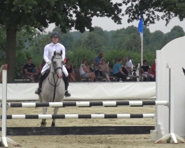 Reitturnier Neuss-Allerheiligen 2019