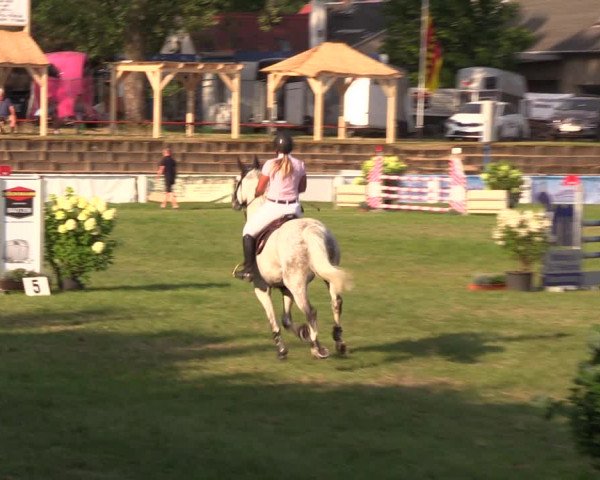 Reitturnier Baschütz bei Bautzen 2019