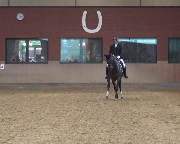 Reitturnier Neuss-Allerheiligen 2019