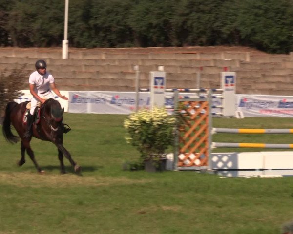 Reitturnier Baschütz bei Bautzen 2019