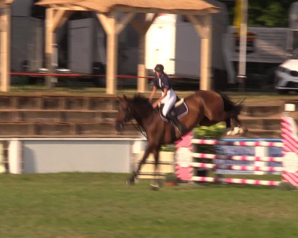 Reitturnier Baschütz bei Bautzen 2019