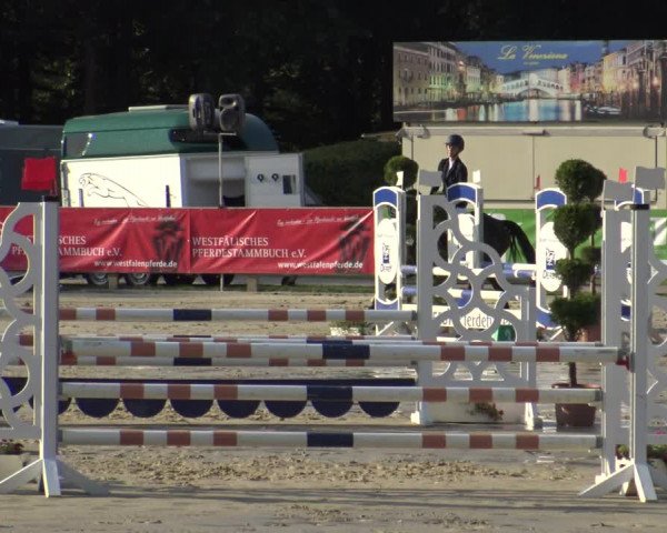 Reitturnier Münster-Handorf 2019