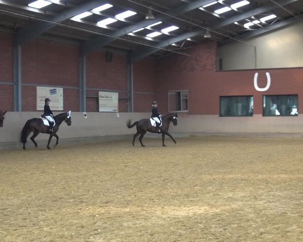Reitturnier Neuss-Allerheiligen 2019