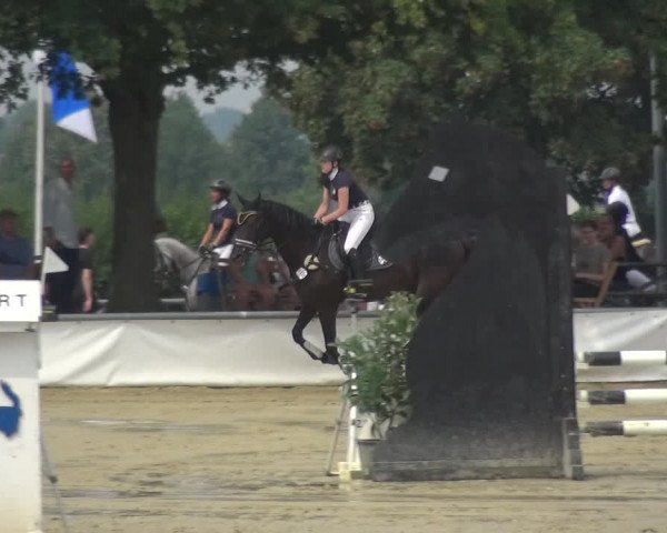 Reitturnier Neuss-Allerheiligen 2019