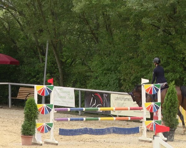 Reitturnier Püttlingen 2019
