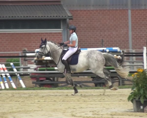 Reitturnier Neuss-Allerheiligen 2019