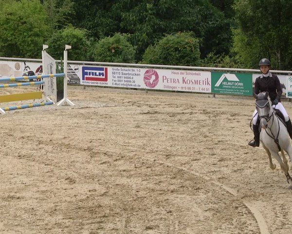 Reitturnier Püttlingen 2019