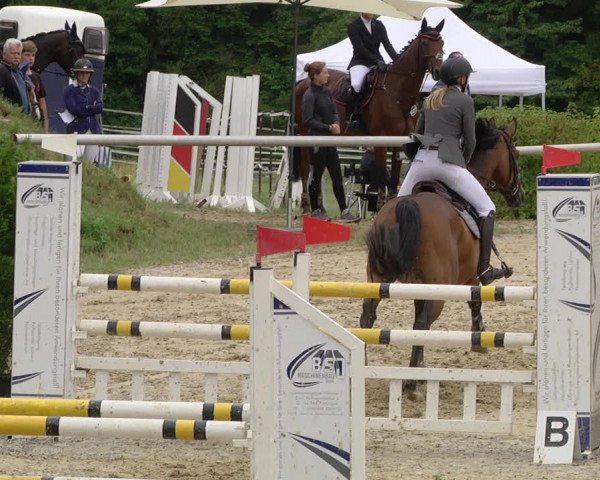 Reitturnier Püttlingen 2019