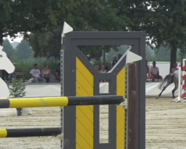 Reitturnier Neuss-Allerheiligen 2019