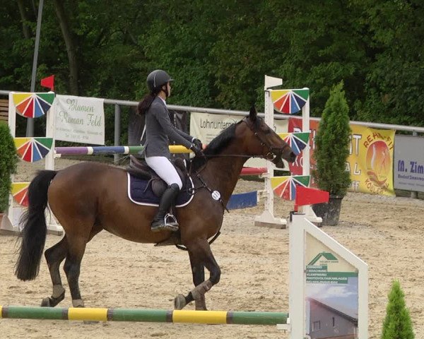 Reitturnier Püttlingen 2019