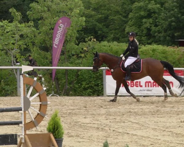 Reitturnier Püttlingen 2019