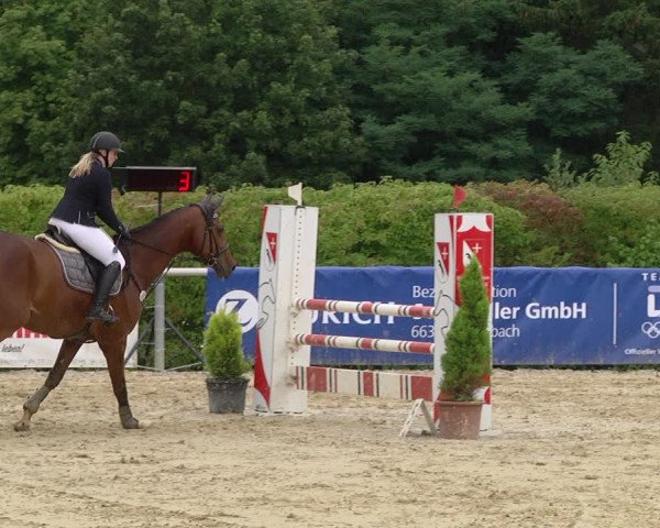 Reitturnier Püttlingen 2019