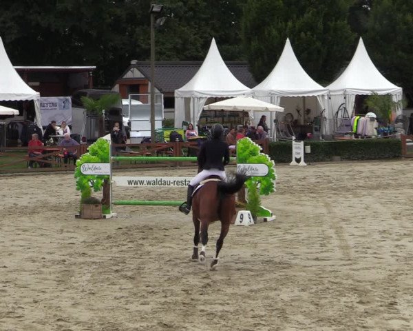 Equus Colonius - Reitanlage Brüse Köln 2021