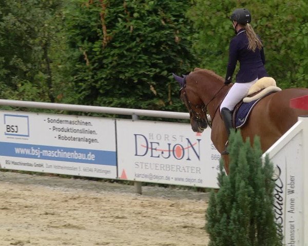 Reitturnier Püttlingen 2019
