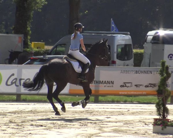 Westfalen-Woche 2019