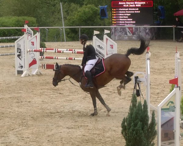 Reitturnier Püttlingen 2019