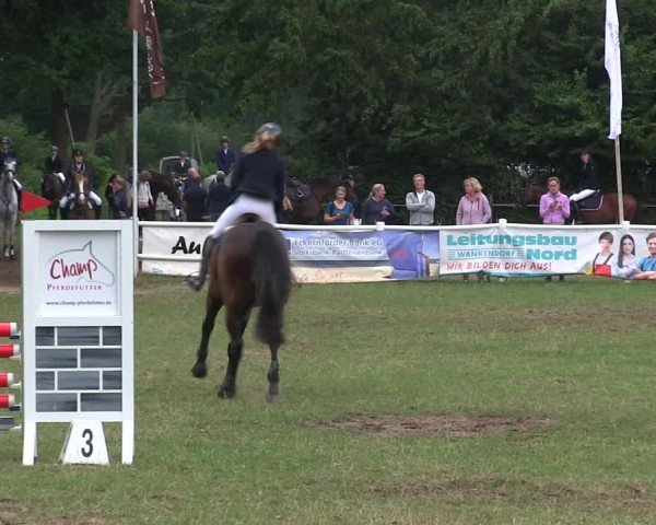 Reitturnier Felmerholz 2019