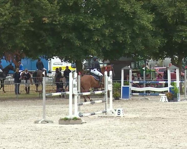 Reitturnier Rot am See- Musdorf 2019