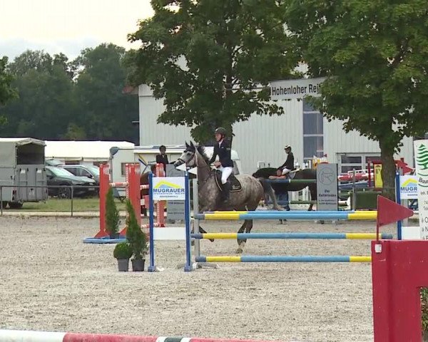 Reitturnier Rot am See- Musdorf 2019