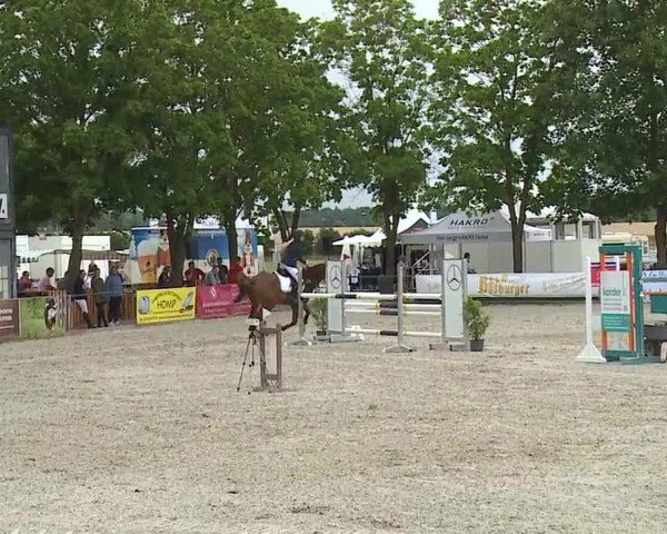 Reitturnier Rot am See- Musdorf 2019