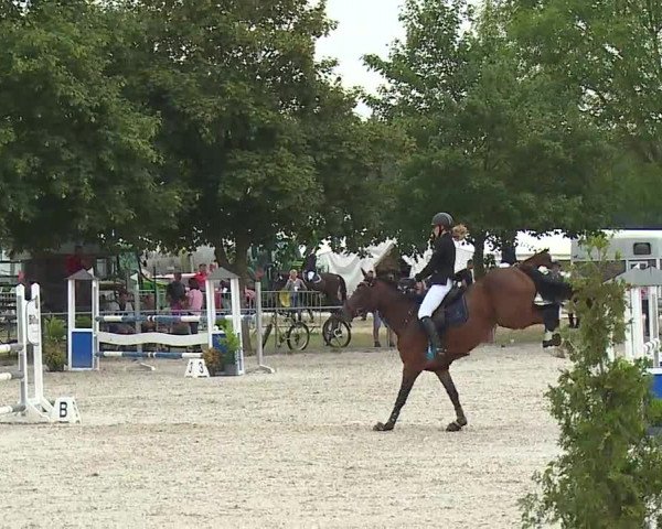 Reitturnier Rot am See- Musdorf 2019
