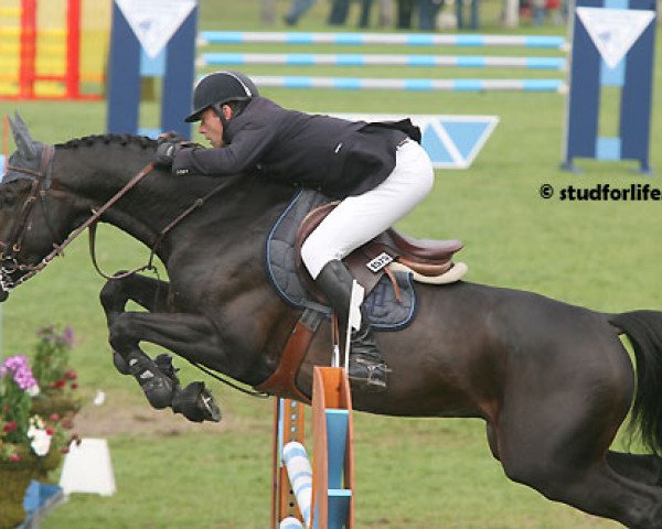 stallion O'Brion du Plessis (Selle Français, 2002, from Kannan)