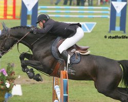 stallion O'Brion du Plessis (Selle Français, 2002, from Kannan)