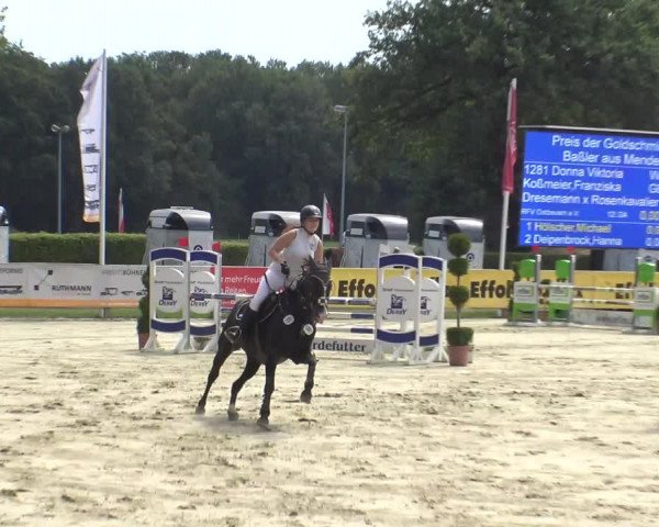 Reitturnier Münster-Handorf 2019