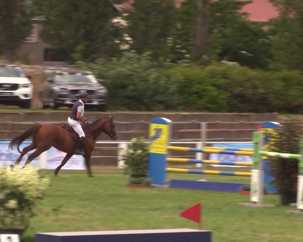 Reitturnier Baschütz bei Bautzen 2019