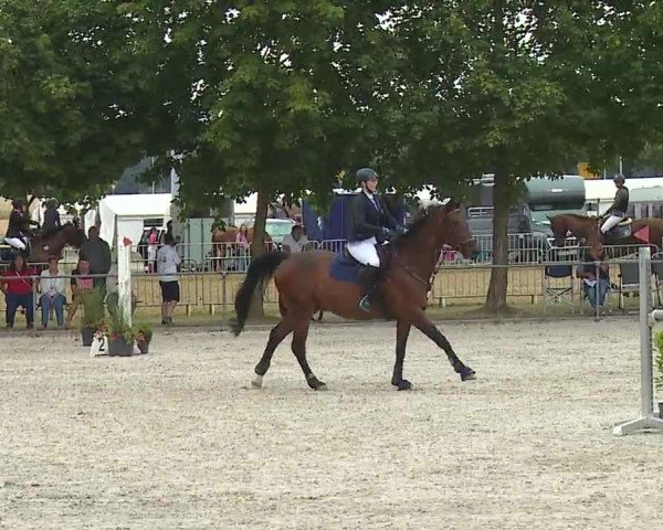 Reitturnier Rot am See- Musdorf 2019