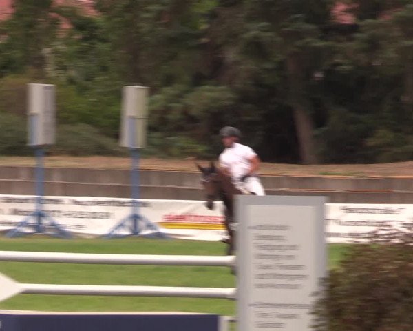 Reitturnier Baschütz bei Bautzen 2019
