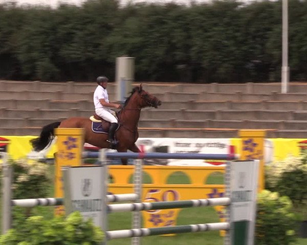 Reitturnier Baschütz bei Bautzen 2019