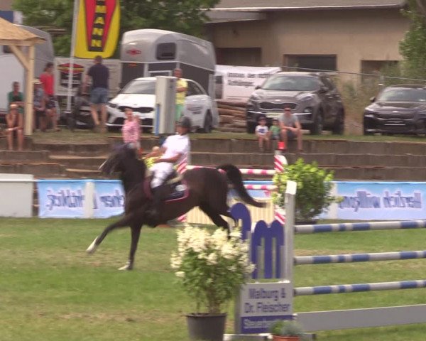 Reitturnier Baschütz bei Bautzen 2019