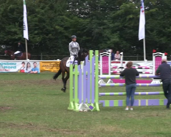 Reitturnier Felmerholz 2019