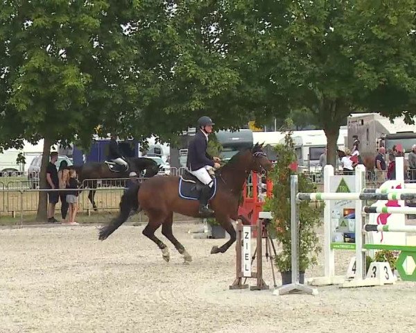 Reitturnier Rot am See- Musdorf 2019