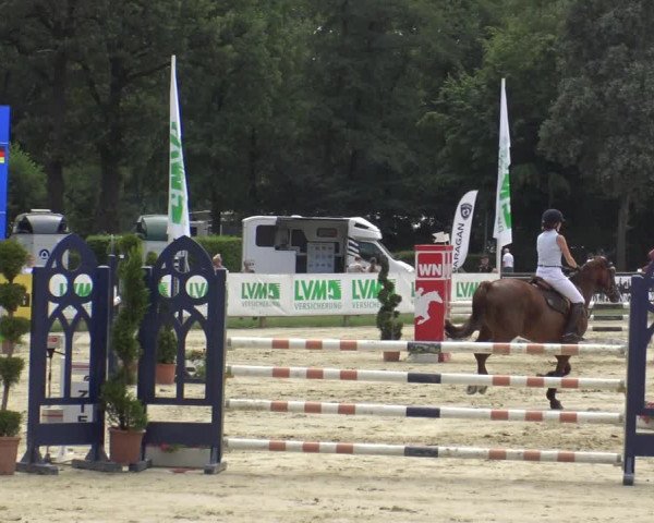 Reitturnier Münster-Handorf 2019