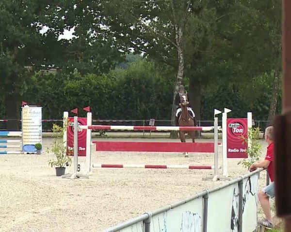Reitturnier Rot am See- Musdorf 2019