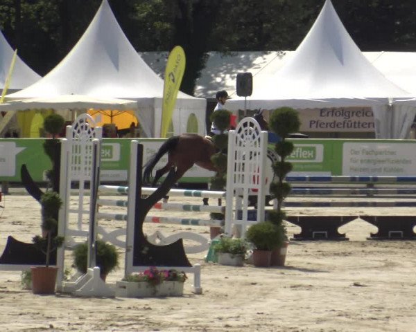 Reitturnier Münster-Handorf 2019