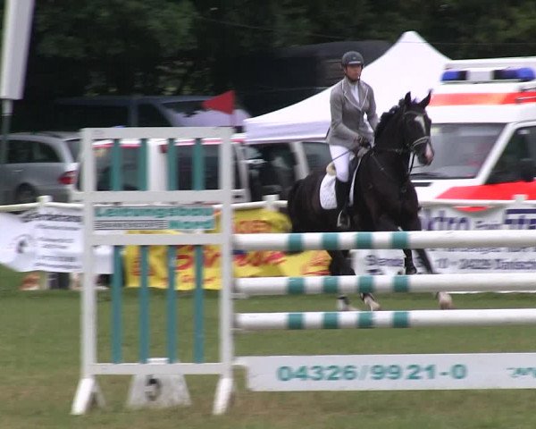 Reitturnier Felmerholz 2019