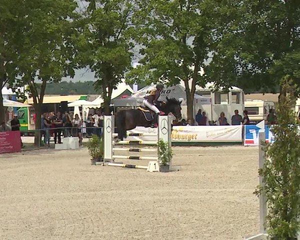 Reitturnier Rot am See- Musdorf 2019