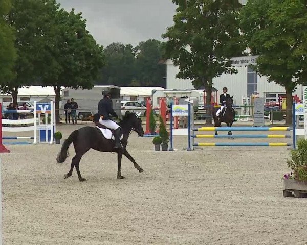 Reitturnier Rot am See- Musdorf 2019