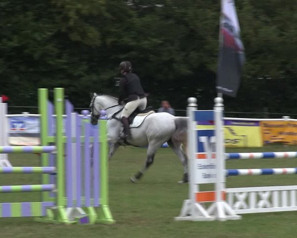 Reitturnier Felmerholz 2019