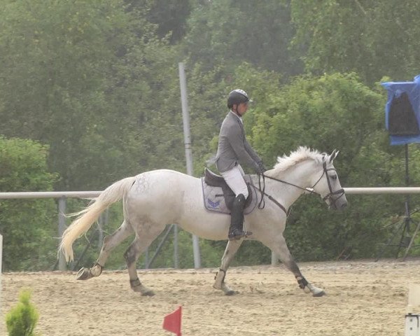 Reitturnier Püttlingen 2019