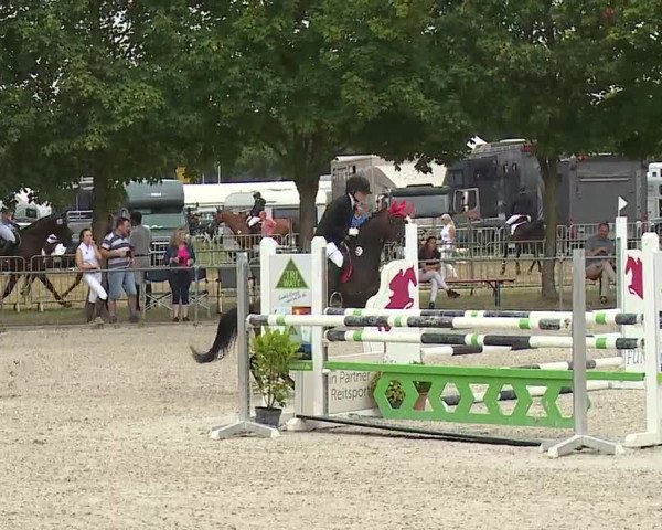Reitturnier Rot am See- Musdorf 2019