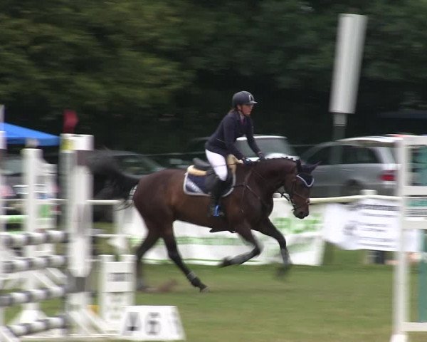Reitturnier Felmerholz 2019
