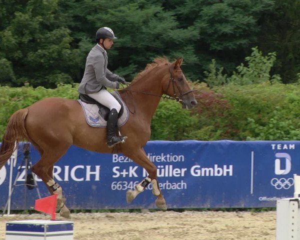 Reitturnier Püttlingen 2019