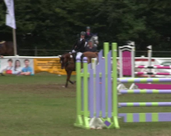 Reitturnier Felmerholz 2019